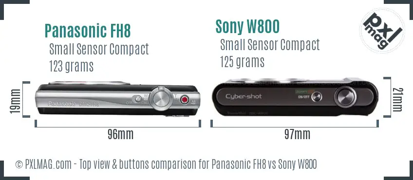 Panasonic FH8 vs Sony W800 top view buttons comparison