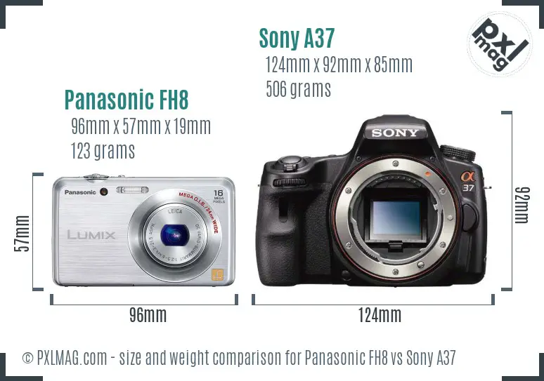 Panasonic FH8 vs Sony A37 size comparison
