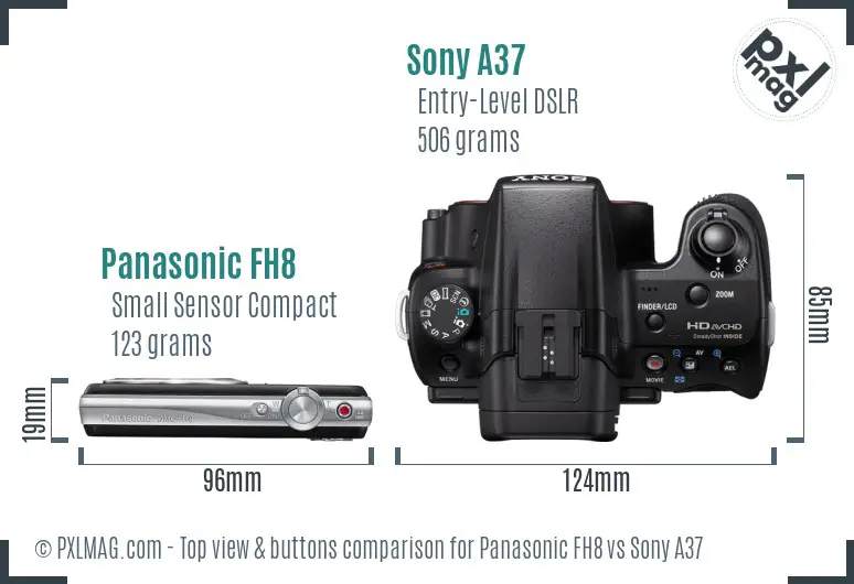 Panasonic FH8 vs Sony A37 top view buttons comparison