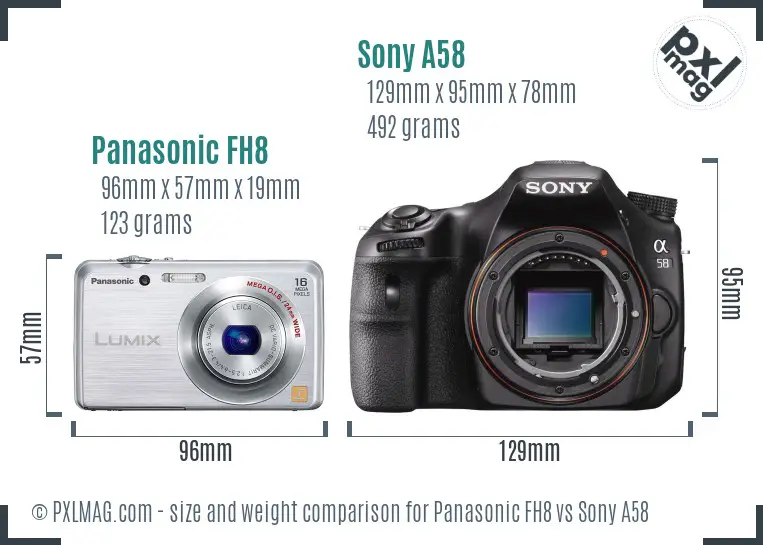 Panasonic FH8 vs Sony A58 size comparison