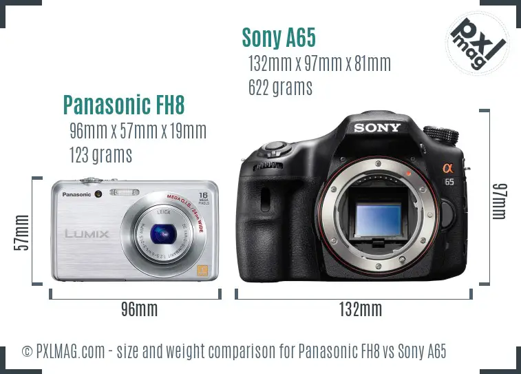 Panasonic FH8 vs Sony A65 size comparison