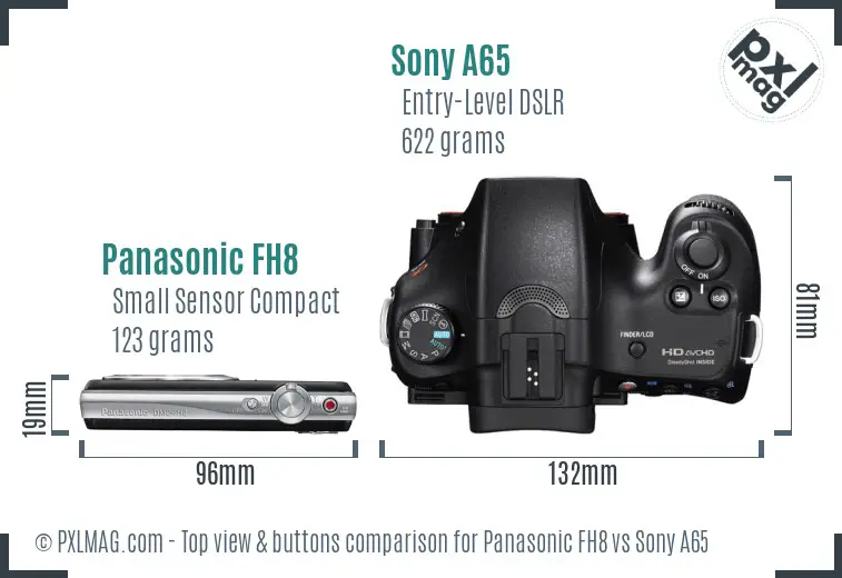 Panasonic FH8 vs Sony A65 top view buttons comparison