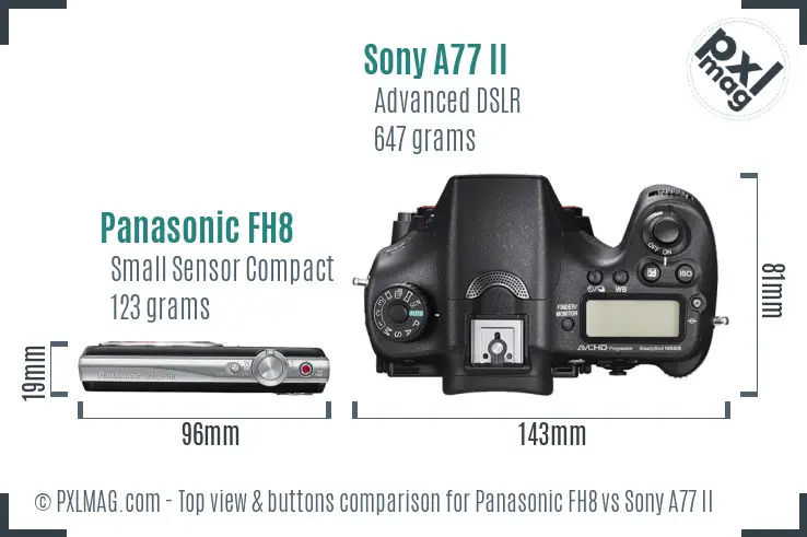 Panasonic FH8 vs Sony A77 II top view buttons comparison
