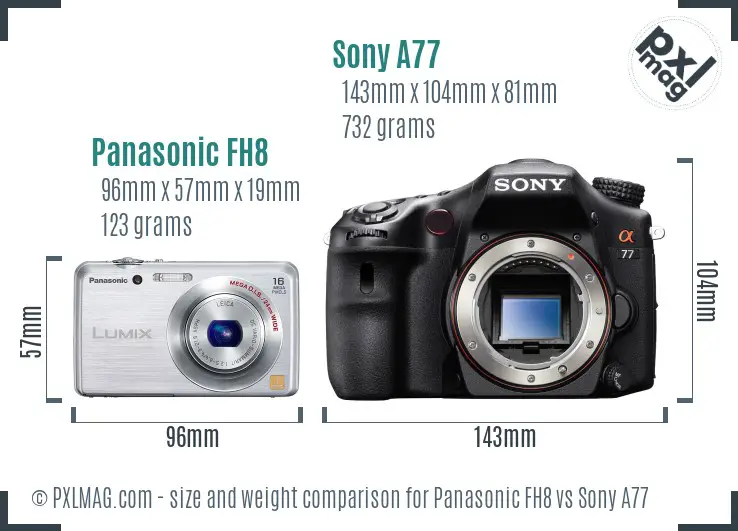 Panasonic FH8 vs Sony A77 size comparison