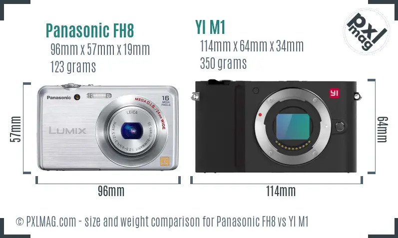 Panasonic FH8 vs YI M1 size comparison