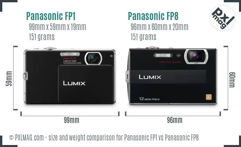 Panasonic FP1 vs Panasonic FP8 size comparison