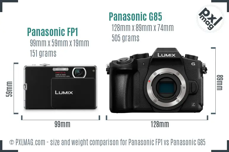 Panasonic FP1 vs Panasonic G85 size comparison