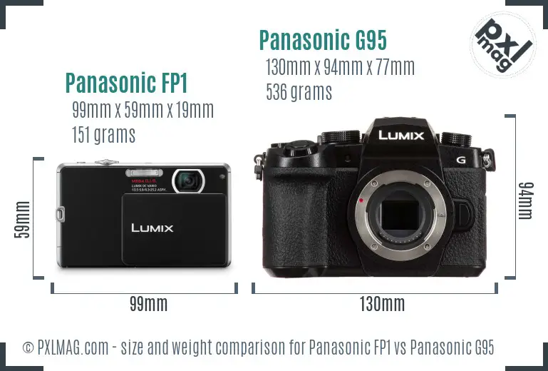 Panasonic FP1 vs Panasonic G95 size comparison