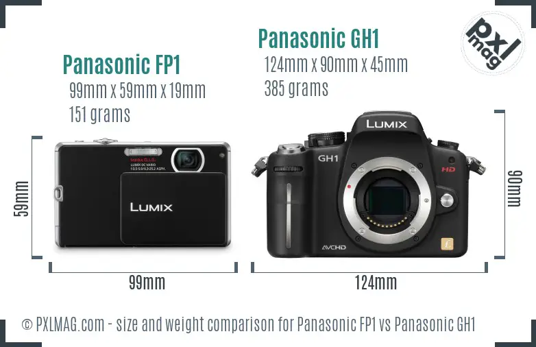 Panasonic FP1 vs Panasonic GH1 size comparison