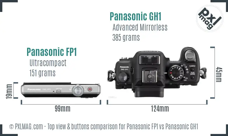 Panasonic FP1 vs Panasonic GH1 top view buttons comparison