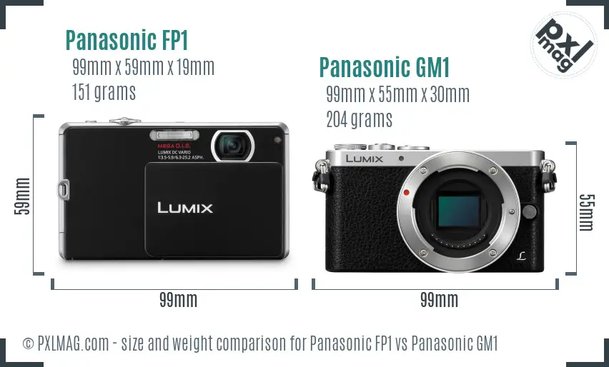 Panasonic FP1 vs Panasonic GM1 size comparison