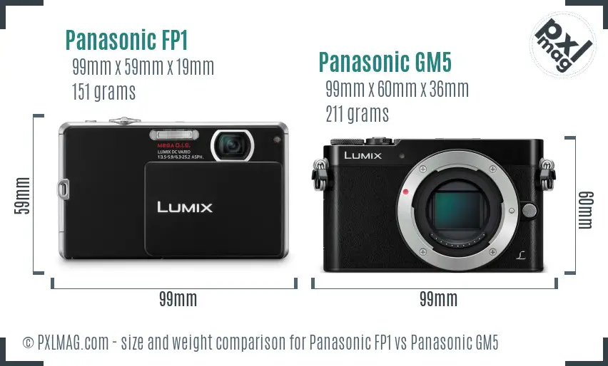 Panasonic FP1 vs Panasonic GM5 size comparison