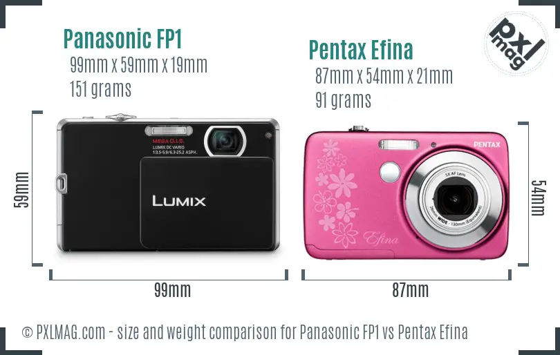Panasonic FP1 vs Pentax Efina size comparison