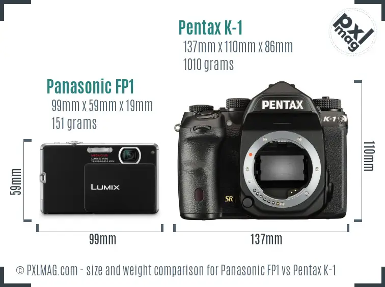 Panasonic FP1 vs Pentax K-1 size comparison