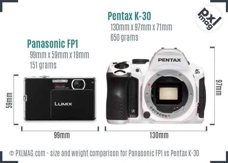 Panasonic FP1 vs Pentax K-30 size comparison