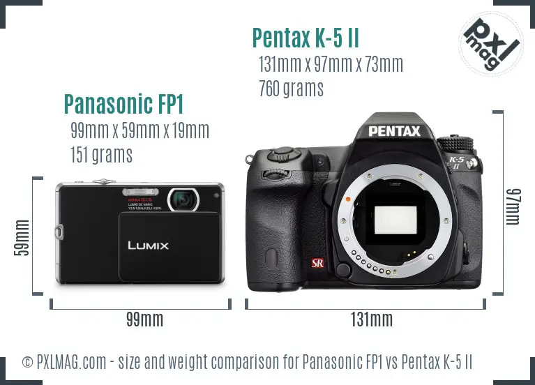 Panasonic FP1 vs Pentax K-5 II size comparison