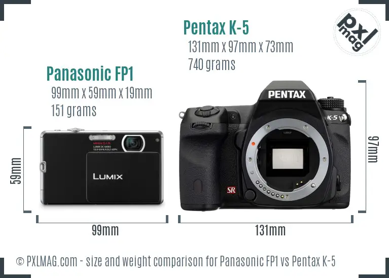 Panasonic FP1 vs Pentax K-5 size comparison