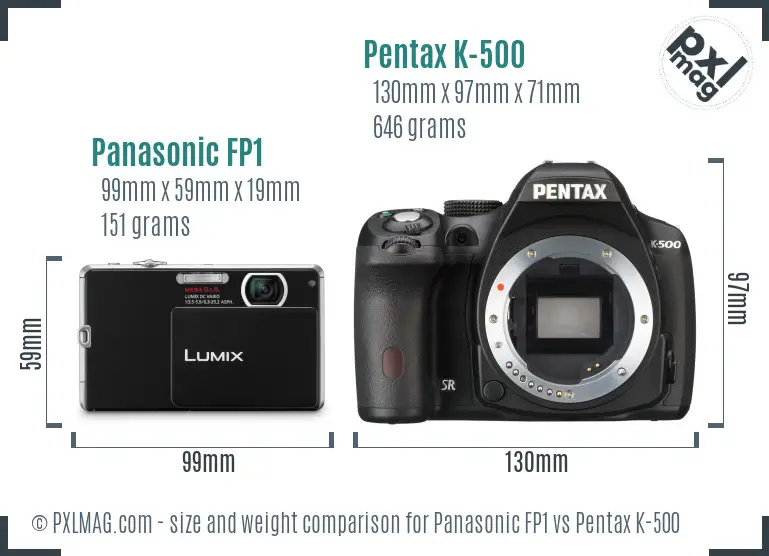 Panasonic FP1 vs Pentax K-500 size comparison