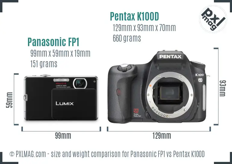 Panasonic FP1 vs Pentax K100D size comparison
