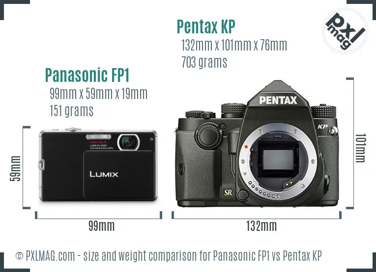 Panasonic FP1 vs Pentax KP size comparison