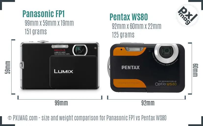 Panasonic FP1 vs Pentax WS80 size comparison