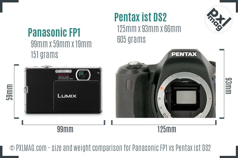 Panasonic FP1 vs Pentax ist DS2 size comparison