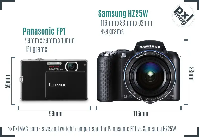 Panasonic FP1 vs Samsung HZ25W size comparison