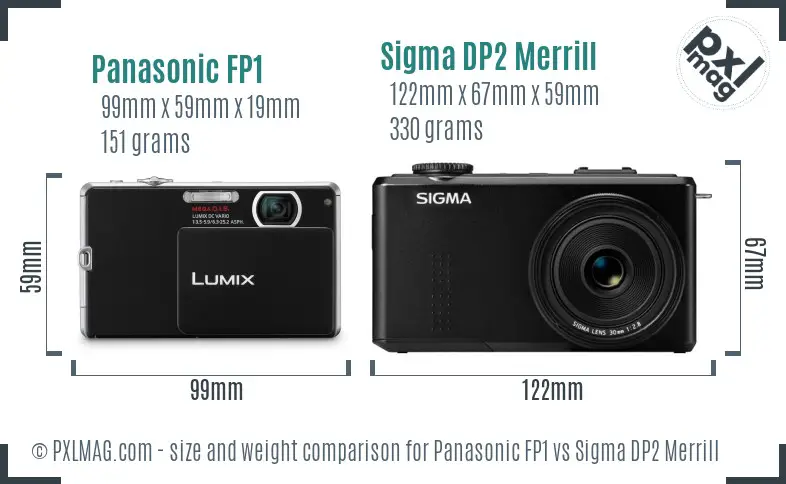 Panasonic FP1 vs Sigma DP2 Merrill size comparison
