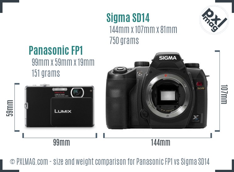 Panasonic FP1 vs Sigma SD14 size comparison