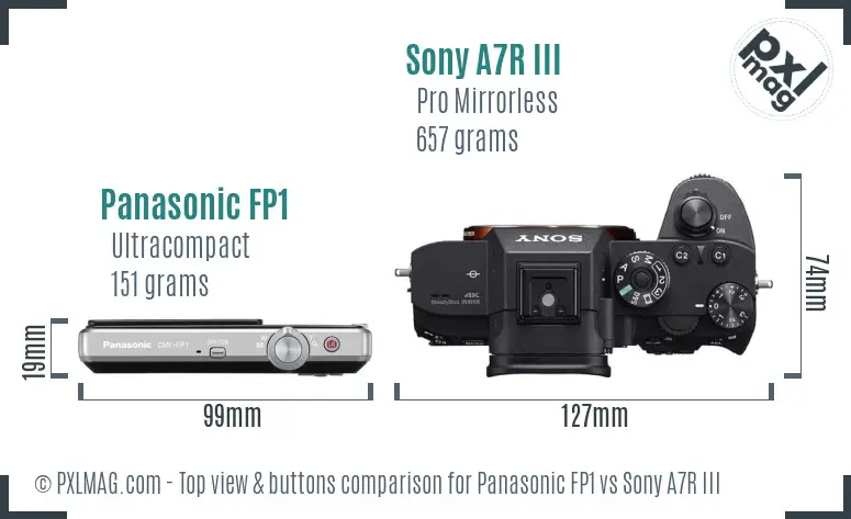 Panasonic FP1 vs Sony A7R III top view buttons comparison