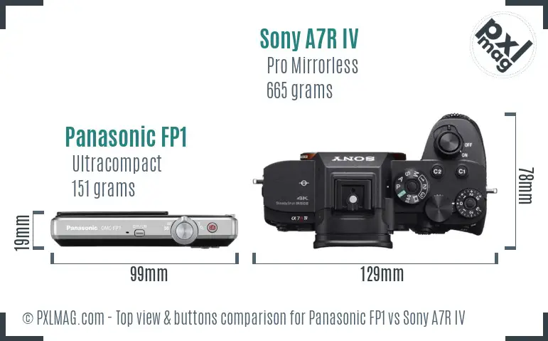 Panasonic FP1 vs Sony A7R IV top view buttons comparison