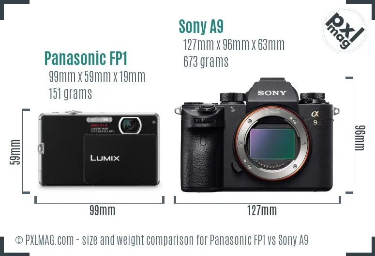 Panasonic FP1 vs Sony A9 size comparison