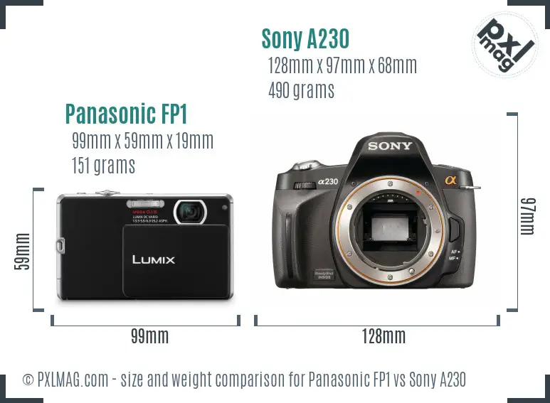 Panasonic FP1 vs Sony A230 size comparison