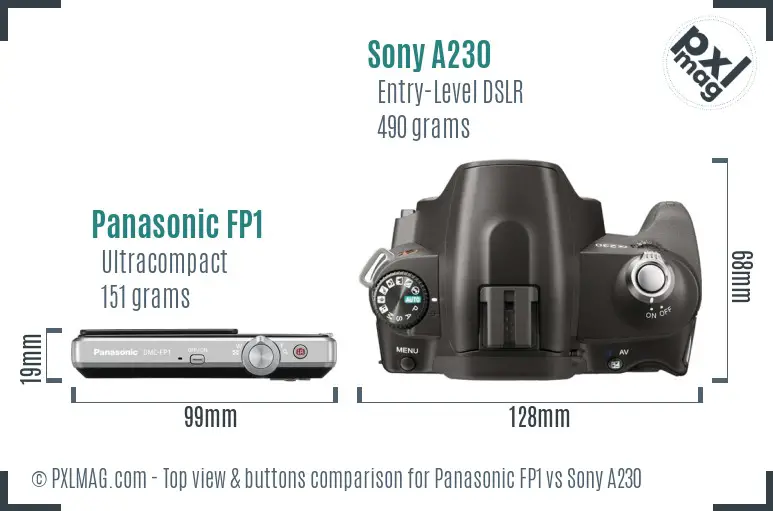 Panasonic FP1 vs Sony A230 top view buttons comparison