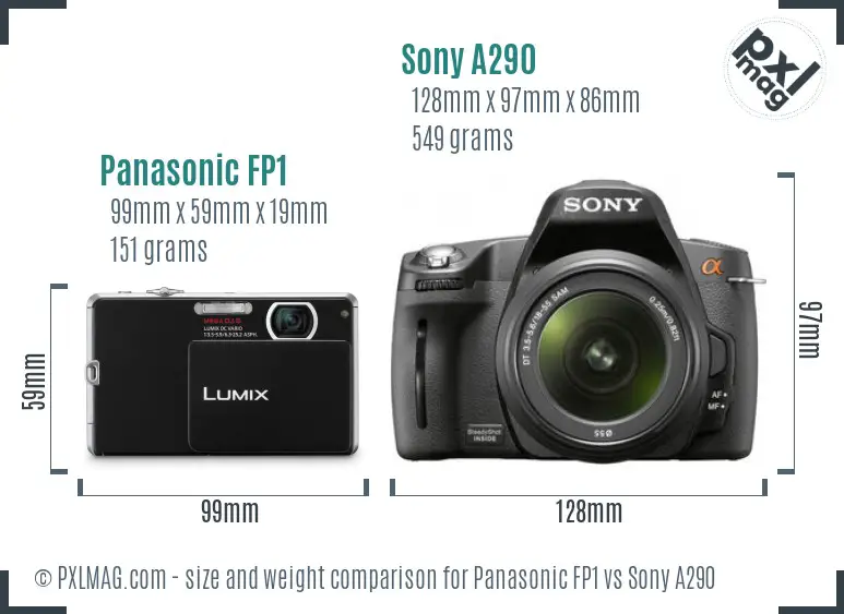 Panasonic FP1 vs Sony A290 size comparison