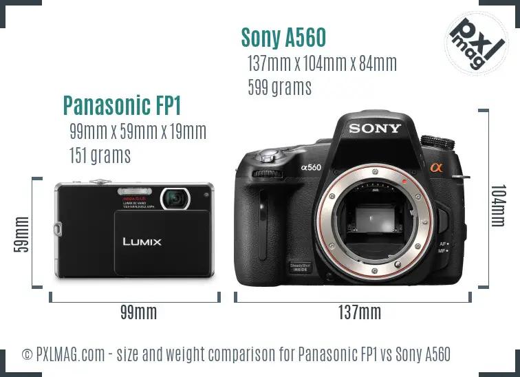 Panasonic FP1 vs Sony A560 size comparison