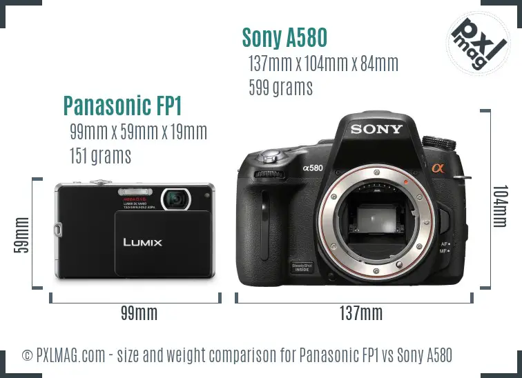 Panasonic FP1 vs Sony A580 size comparison