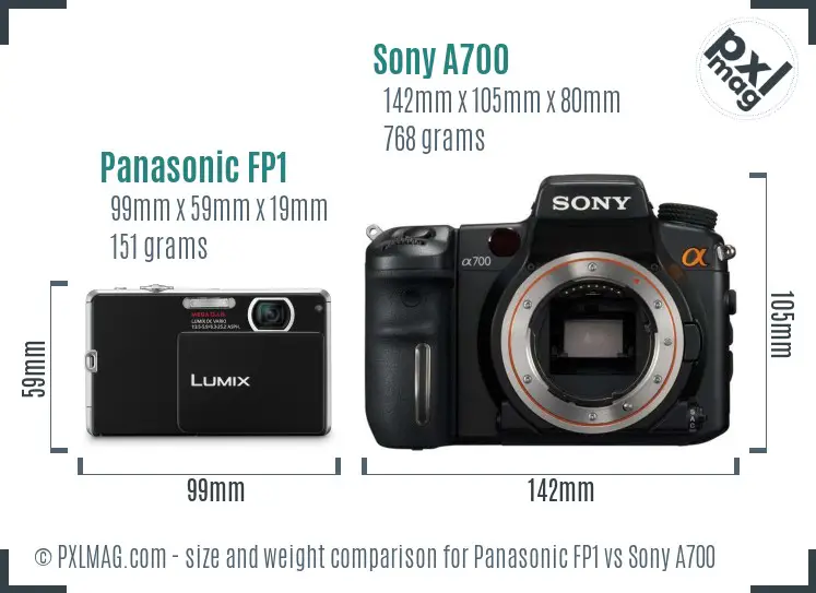 Panasonic FP1 vs Sony A700 size comparison