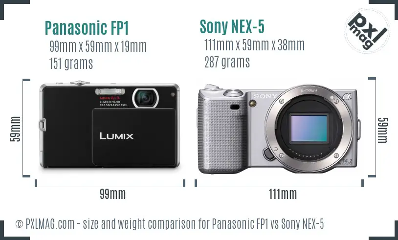 Panasonic FP1 vs Sony NEX-5 size comparison