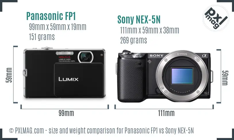 Panasonic FP1 vs Sony NEX-5N size comparison
