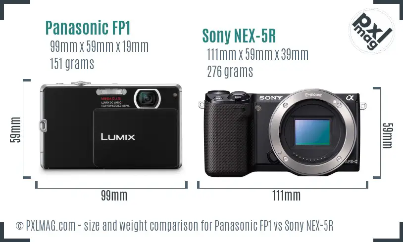 Panasonic FP1 vs Sony NEX-5R size comparison