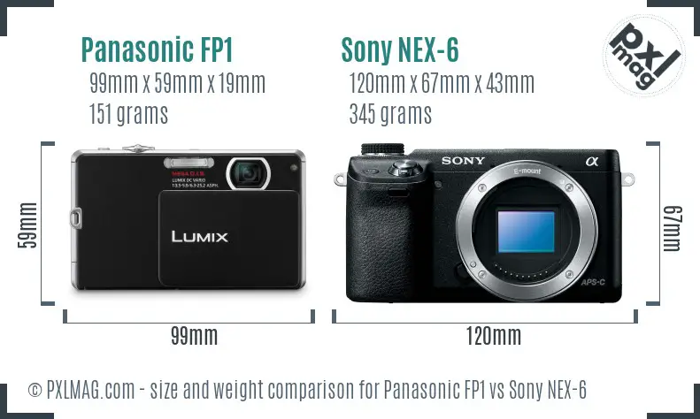 Panasonic FP1 vs Sony NEX-6 size comparison