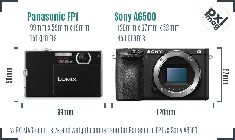 Panasonic FP1 vs Sony A6500 size comparison