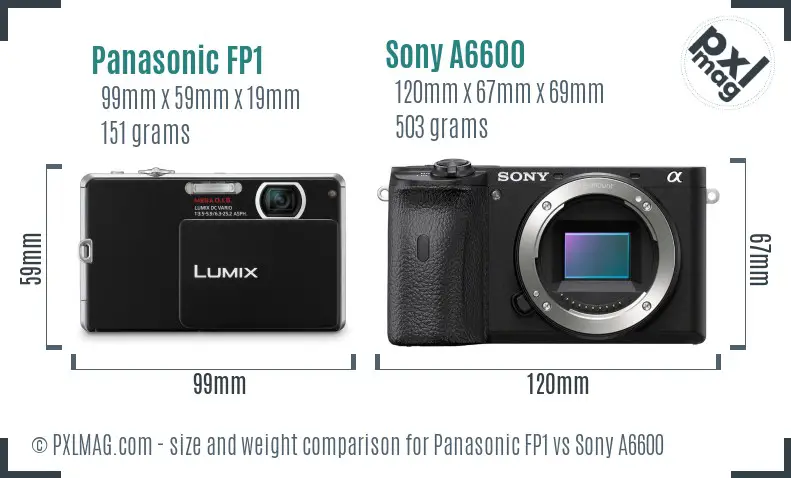 Panasonic FP1 vs Sony A6600 size comparison
