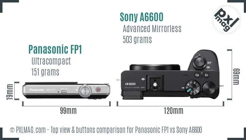 Panasonic FP1 vs Sony A6600 top view buttons comparison