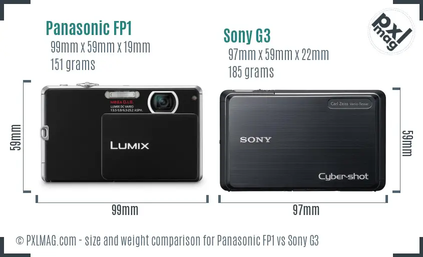 Panasonic FP1 vs Sony G3 size comparison