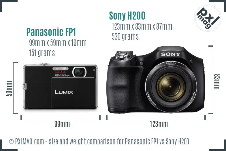 Panasonic FP1 vs Sony H200 size comparison