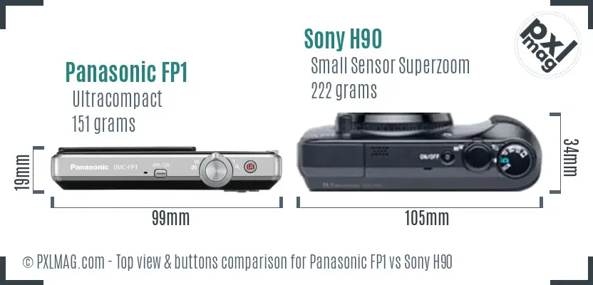 Panasonic FP1 vs Sony H90 top view buttons comparison