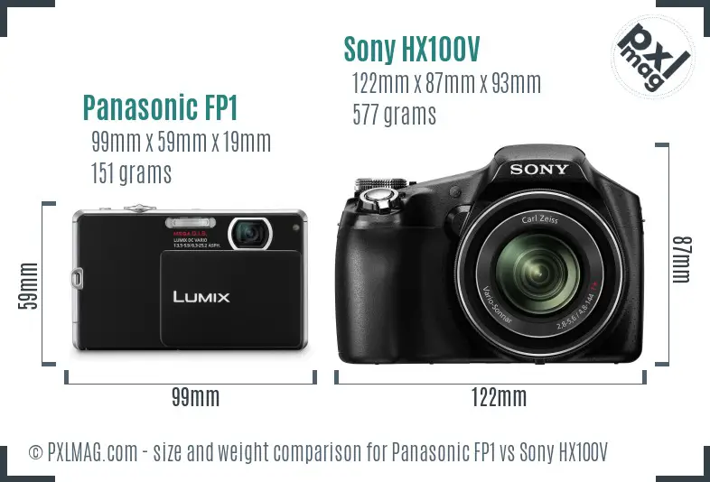 Panasonic FP1 vs Sony HX100V size comparison