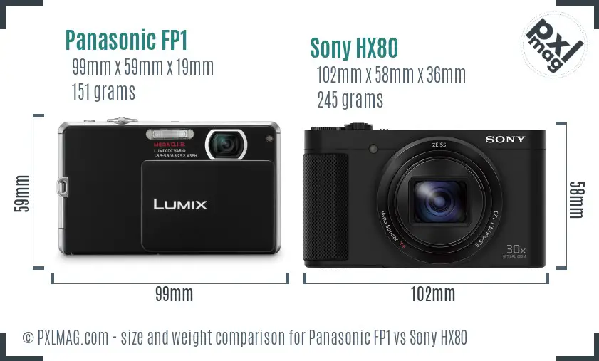 Panasonic FP1 vs Sony HX80 size comparison
